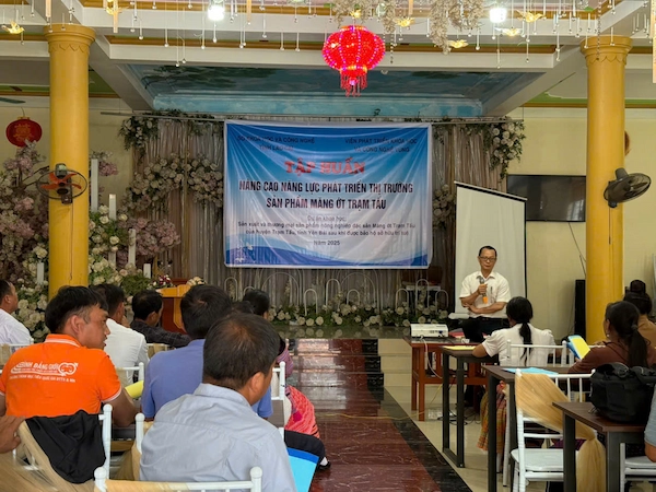 Tổ chức tập huấn: “Nâng cao năng lực phát triển thị trường sản phẩm măng ớt Trạm Tấu” năm 2025